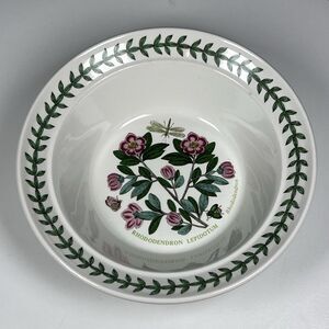 Portmeirion Botanic Garden Rhododendron Rimmed Oatmeal Cereal Bowl 6 1/2”